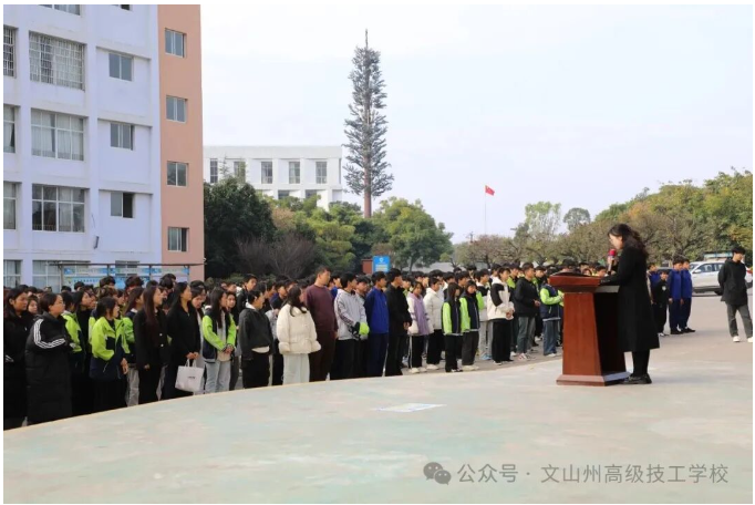 1765277200384079577.png image.png